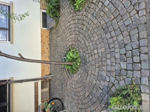 Gartenpflege-Rasen mähen, Hecken schneiden, Unkraut entfernen