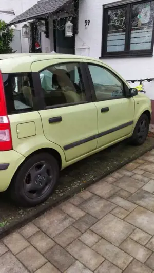 Fiat Panda Panda 1.2 Dynamic