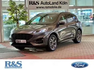 Ford Kuga ST-Line X+Automatik+AHK+BO+Kamera+Navi