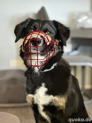 Kiana - ist sehr kooperativ 