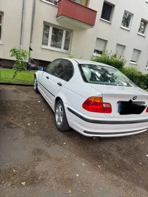 BMW 318 318i Sport Edition Bild 3