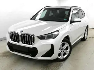 BMW X1 xDrive 23i M Sportpaket Pano ACC eSitzeMemory
