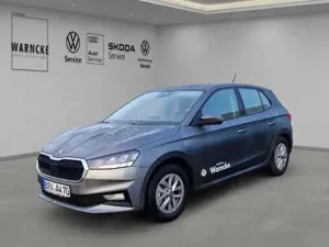 Skoda Fabia 1.0 Selection 130 Jahre PDC hi. RFK GRA LM SHZ NSW