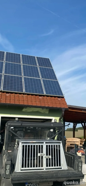 Große Hunde Box teilbar