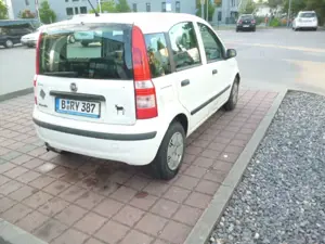 Fiat Panda Panda 1.2 Bild 3