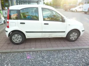 Fiat Panda Panda 1.2 Bild 2