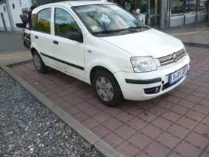 Fiat Panda Panda 1.2 Bild 5