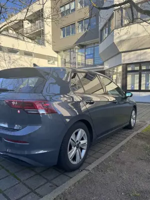 Volkswagen Golf Alltrack 2.0 TDI 4Motion DSG Bild 3