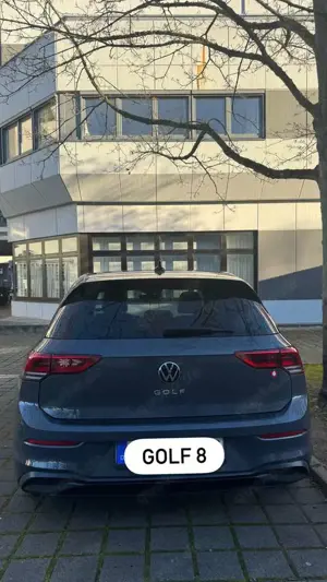 Volkswagen Golf Alltrack 2.0 TDI 4Motion DSG Bild 2