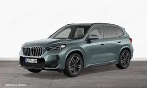 BMW X1 xDrive23i M Sportpaket Head-Up HK HiFi DAB