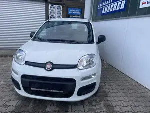 Fiat Panda 1.0 Hybrid, PDC, Bluetooth, Tempomat, Bild 2