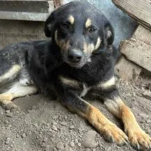 Fritzi S ca. 47 cm   mit Knopfaugen