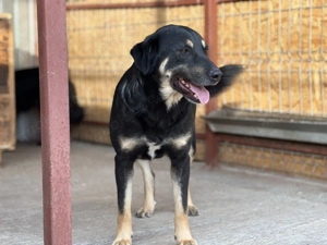 Fritzi S ca. 47 cm - Wünscht sich ein Happy-End