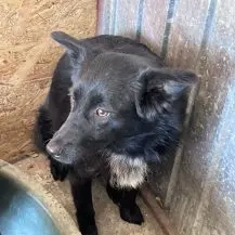 Gigi ca. 43 cm   die Mystische