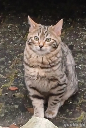 Tommy Sucht Personal  Bild 3