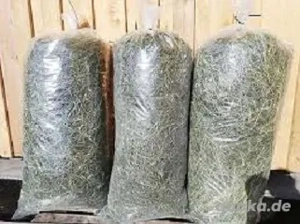 Heu, Bauernhof-Heu gesundes Heu mit Kräutern für Kaninchen & Meerschweinchen