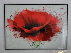 Bild , Mohnblume  90x60cm