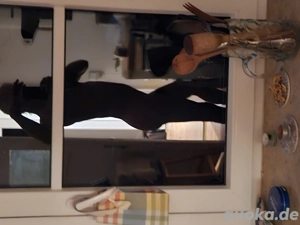 Happy End Massagen von reifer Translady für M   F   D und PAARE in München