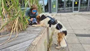 Gino, geb. Nov. 2022, kastriert Bild 7