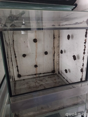 Glasterrarium 50 50 60