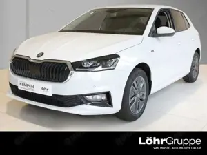 Skoda Fabia Tour 1,0 TSI 5-Gang AHK Winterpaket