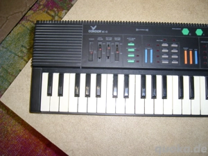 Condor Keyboard Neu Preisänderung von50  auf 35  Bild 5