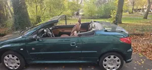 Peugeot 206 CC 135 Roland Garros