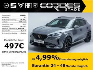 CUPRA Formentor VZ 4Drive 2.0 TSI Matrix Kamera PDC Panorama (45)