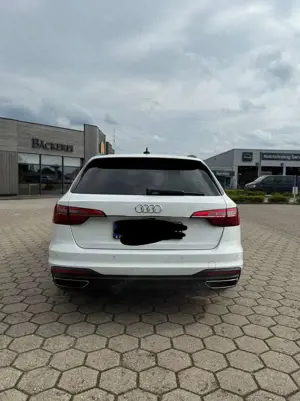 Audi A4 S tronic 40 TDI basis Bild 3