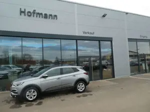 Opel Grandland X Business Eleg. Kamera, Navi, LED