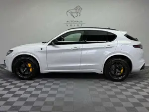 Alfa Romeo Stelvio Quadrifoglio Q4|AKRAPOVIC|PANO|Schale|