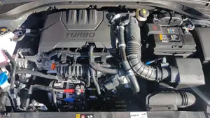 Kia Ceed / cee'd 1.0 T-GDI (48V Mild-Hybrid) DCT7 Nightline Edition Bild 5