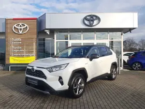 Toyota RAV 4 Hybrid 4x2 - Team Deutschland - AHZV