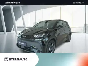 BYD Dolphin Surf DOLPHIN SURF Comfort Klima/Sitzhzg./el.Sitzv.