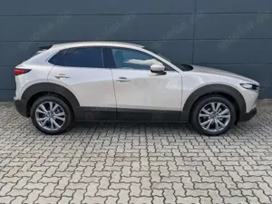Mazda CX-30 2.5l (140PS) Centre-Line Design-Paket Matrix-LED Bild 5