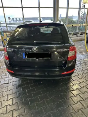 Skoda Octavia Combi 2.0 TDI (Green tec) DSG Ambition Bild 4