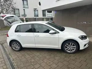 Volkswagen Golf Golf 1.0 TSI DSG Sound ACC NAV MASSAGE APP