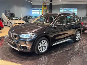 BMW X1 sDrive 18i xLine Business Hifi DKG Kamera AHK