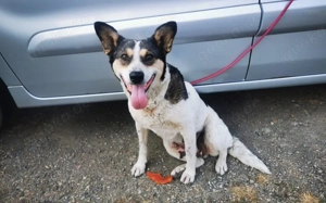 Noa ist bereit für ein neues Leben