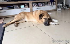 Fiona ist bereit für ein Leben mit dir