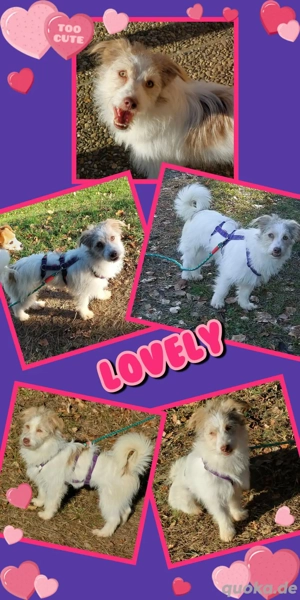 Süße Lovely wartet aufs Glück!