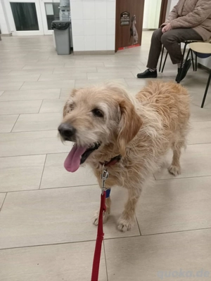   Isamu sucht sein Zuhause  