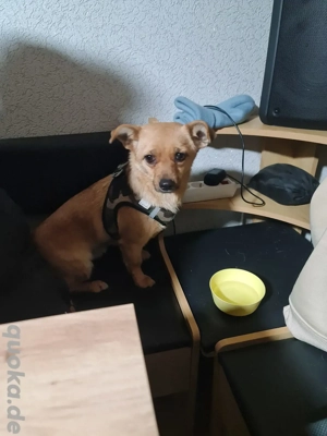 zoe 1 jahr in Deutschland 