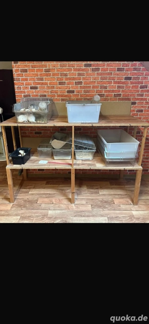 Makrolon Käfig zur zucht für Mäuse u Ratten