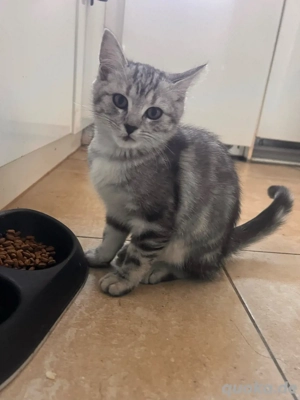 baby BKH heute abzuholen in karlsruhe