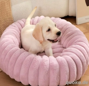 Hundebett  Katzenbett plüsch