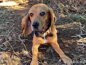 NONNA sucht Familienanschluß