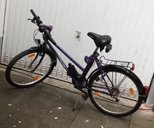 Trekking Fahrrad Fischer Trendline Preisänderung von 75 auf 50 