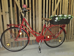 Schönes 28er Hollandrad Damen Fahrrad ALPINA rot mit Korb! Wie neu! 
