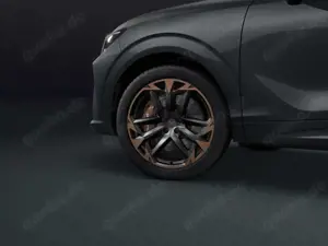 CUPRA Terramar 2.0 TSI DSG VZ 4Drive Akebono Pano Bild 4